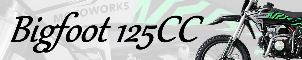 Motoworks 125CC Manual Dirt Bike