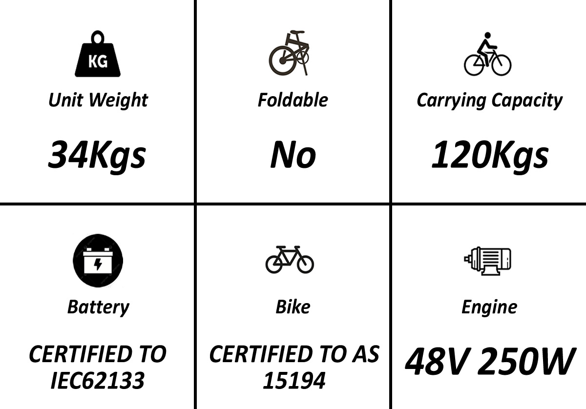 Torrey 20 inch e-bike